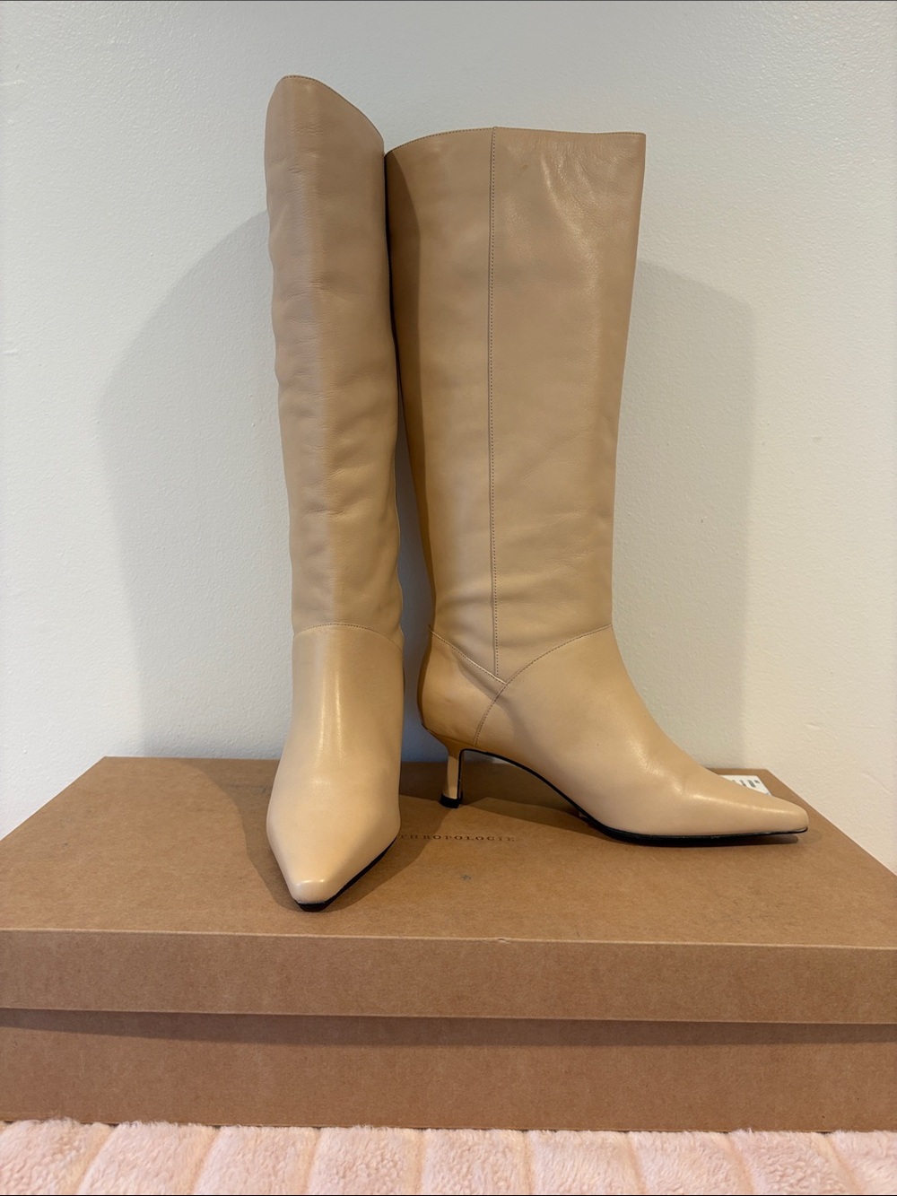 Anthropologie Pointed-Toe Knee-High Kitten Heeled Boots in Beige